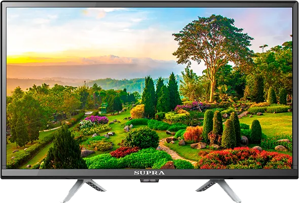 STV-LC24ST0075W
